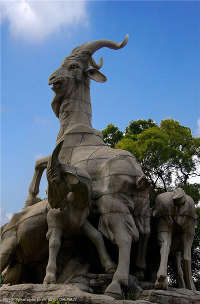 发现西丽的95场,感受小众玩法的独特魅力 发现西丽的95场,感受小众玩法的独特魅力